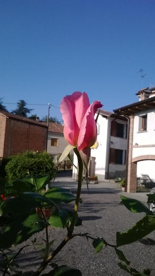 Gli Acini Panzió Pietra dei Giorgi Kültér fotó